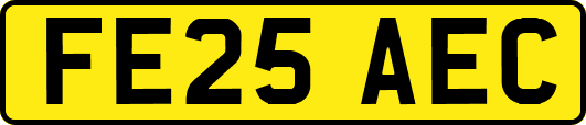 FE25AEC