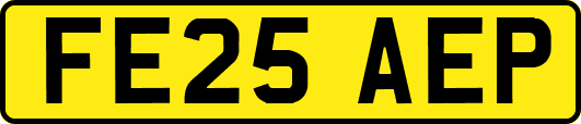 FE25AEP