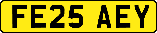 FE25AEY