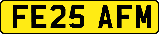 FE25AFM