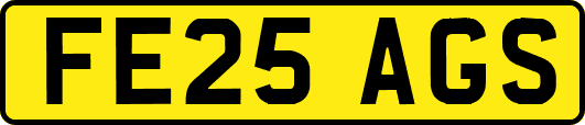 FE25AGS