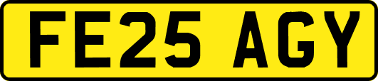 FE25AGY
