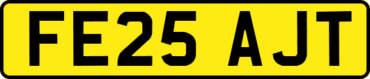 FE25AJT