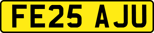 FE25AJU