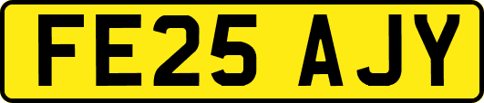 FE25AJY