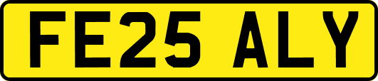 FE25ALY