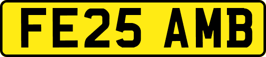 FE25AMB