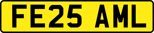 FE25AML