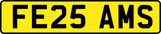 FE25AMS
