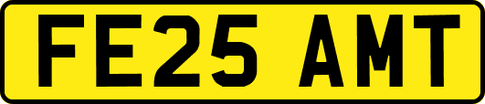 FE25AMT