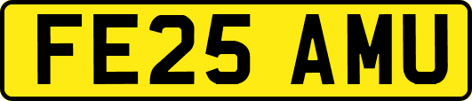 FE25AMU