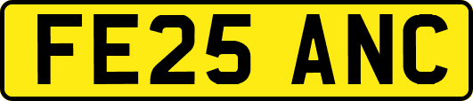 FE25ANC