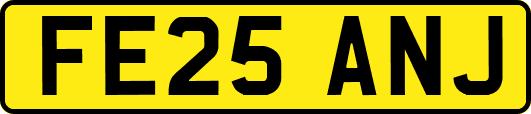 FE25ANJ