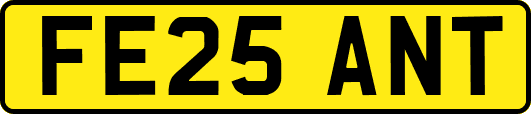 FE25ANT