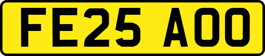 FE25AOO