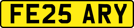 FE25ARY