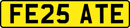 FE25ATE