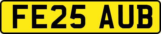 FE25AUB
