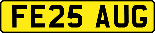 FE25AUG