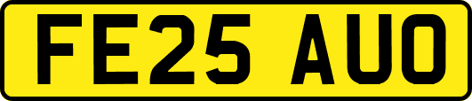 FE25AUO