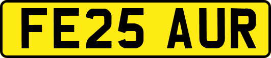FE25AUR