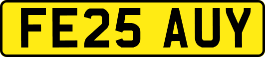 FE25AUY