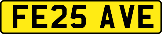 FE25AVE