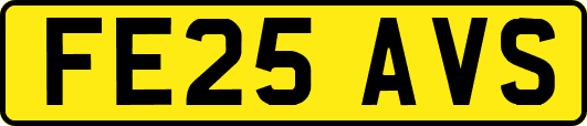 FE25AVS