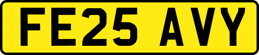FE25AVY