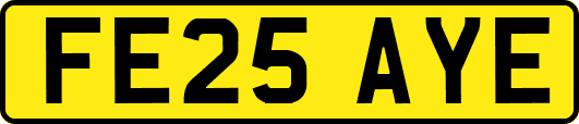 FE25AYE