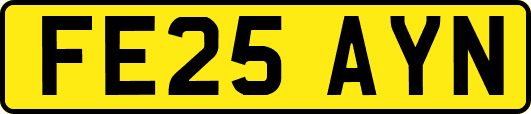 FE25AYN