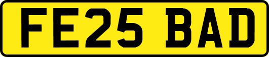 FE25BAD