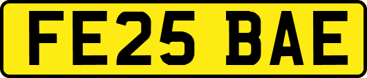 FE25BAE