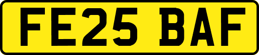 FE25BAF