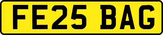 FE25BAG