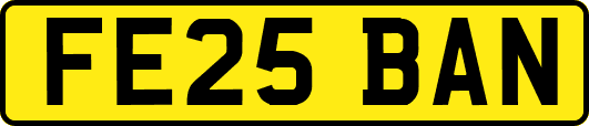 FE25BAN