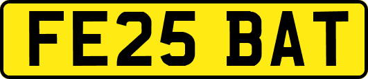 FE25BAT