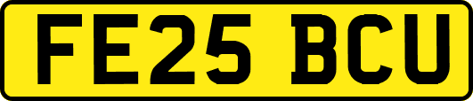 FE25BCU