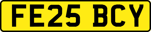 FE25BCY