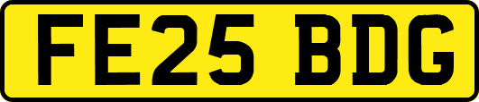 FE25BDG