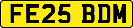 FE25BDM