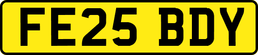 FE25BDY