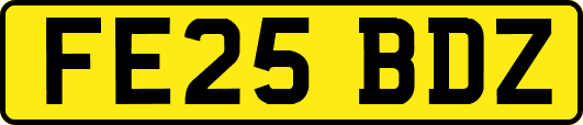 FE25BDZ
