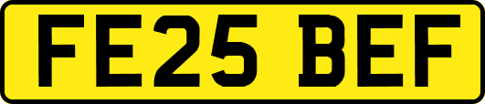 FE25BEF
