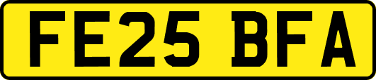 FE25BFA