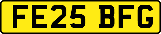 FE25BFG
