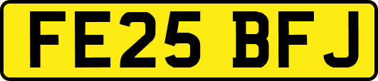 FE25BFJ
