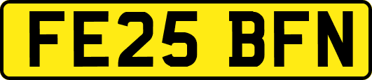 FE25BFN