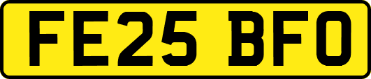 FE25BFO