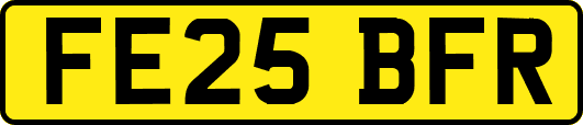 FE25BFR